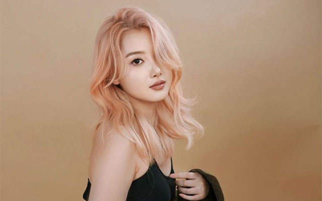 创意设计染课程